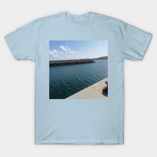 An irish harbour (bal harbour, coffs harbour, coffs harbour map, cole harbour, teelogic, i love coffs harbour, coffs harbour australia, seaham harbour uk) T-Shirt